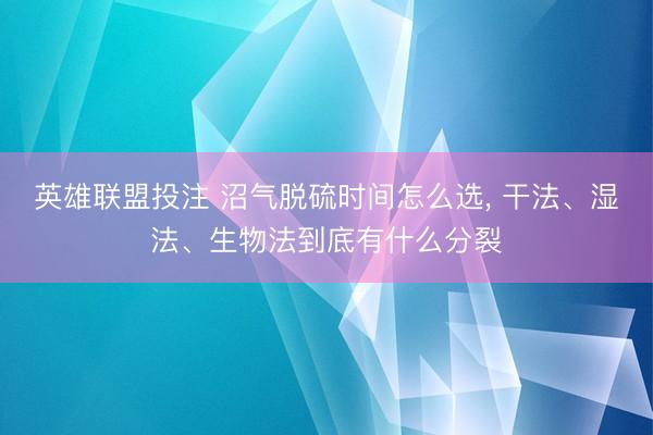 英雄联盟投注 沼气脱硫时间怎么选, 干法、湿法、生物法到底有什么分裂