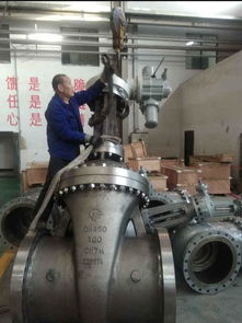 兰州高压阀门特殊合金闸阀产品顺利完工